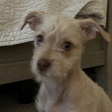 Entry image for Roxy Peppermint Nelissen