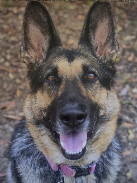 Entry image for Zayda. Clicking this image will show a larger photo
