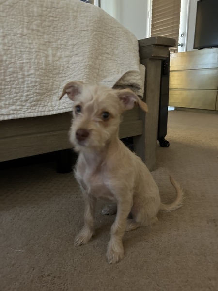 Entry image for Roxy Peppermint Nelissen. Clicking this image will show a larger photo