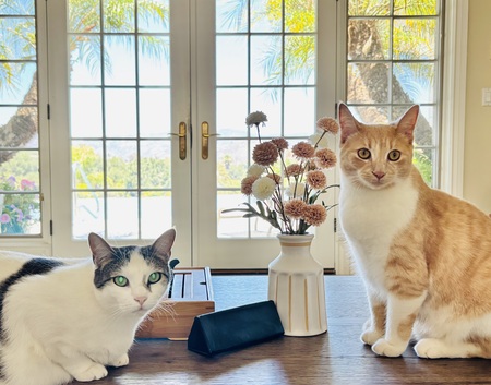 Entry image for Nini & Nana. Clicking this image will show a larger photo