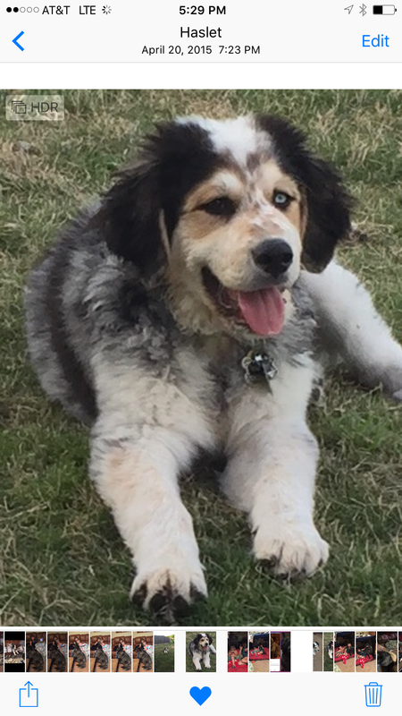 Rocky