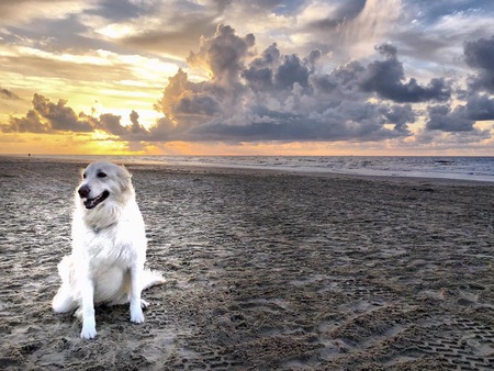 Addy:  Morning Has Broken!
