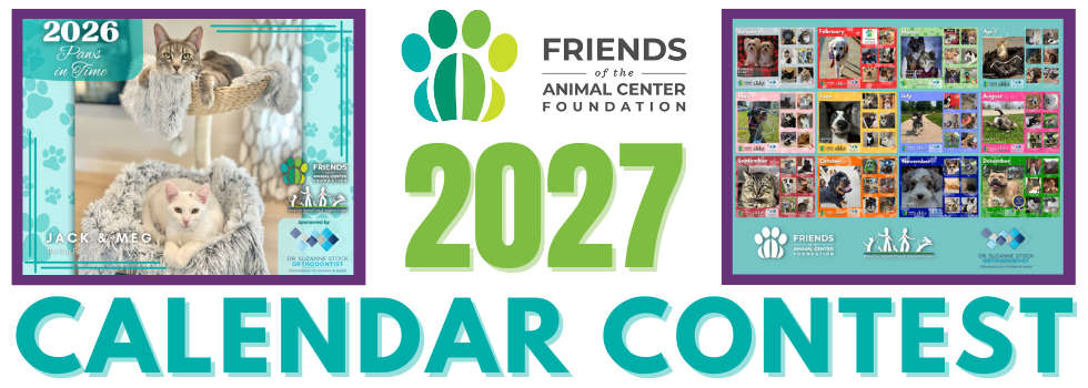 Banner for A Year of Paws