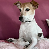 Entry image for Olive