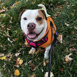 Entry image for Maddie