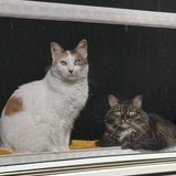 Entry image for Tiny and Winnie