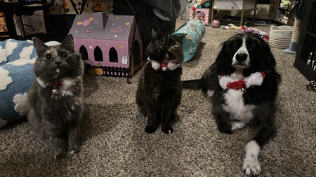Entry image for Lila, Zita, & Theo. Clicking this image will show a larger photo