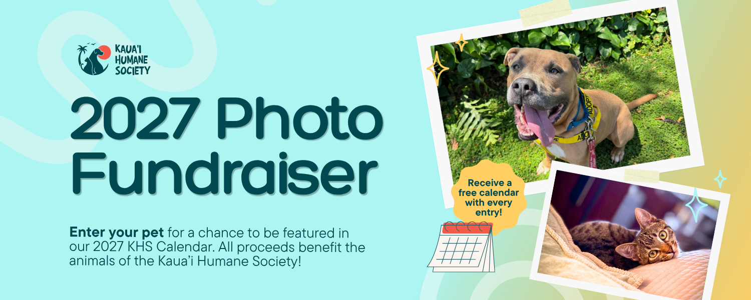Banner for Kaua’i Humane Society 2027 Photo Fundraiser