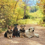 Entry image for Jamie, Tuck, Jax, Chloe