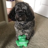 Entry image for Seamus