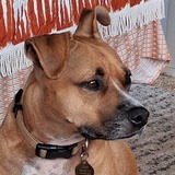 Entry image for Lucy