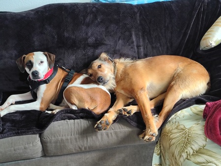 Entry image for Mika and Jojo. Clicking this image will show a larger photo