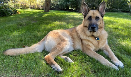 Entry image for Susie. Clicking this image will show a larger photo