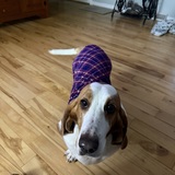 Entry image for Maggie Mae