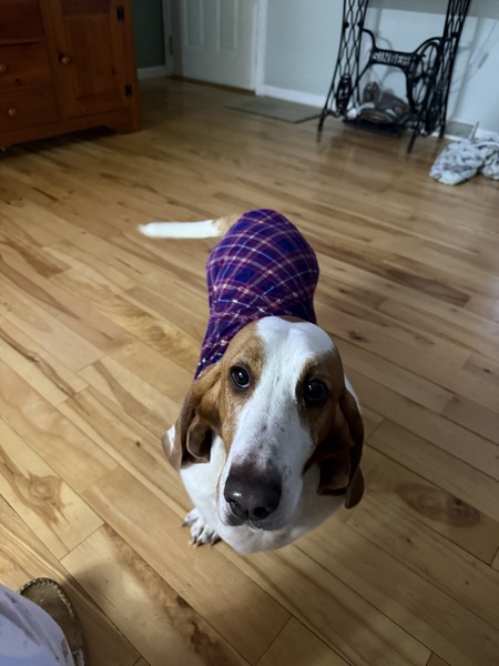 Entry image for Maggie Mae. Clicking this image will show a larger photo