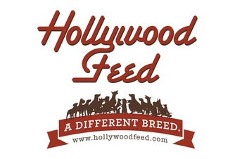 hollywood feed