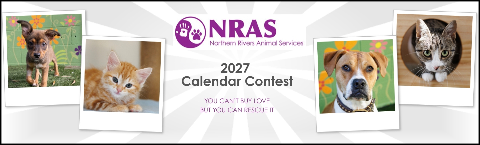 Banner for NRAS Calendar Competition