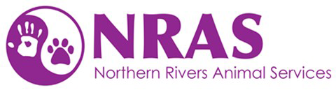 Logo for NRAS – 25th Anniversary