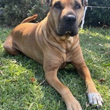 Entry image for LULU