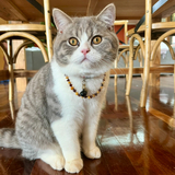 Entry image for Smokey 