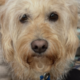 Entry image for Ted 