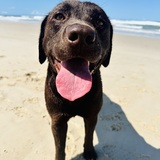 Entry image for Maisy Daisy