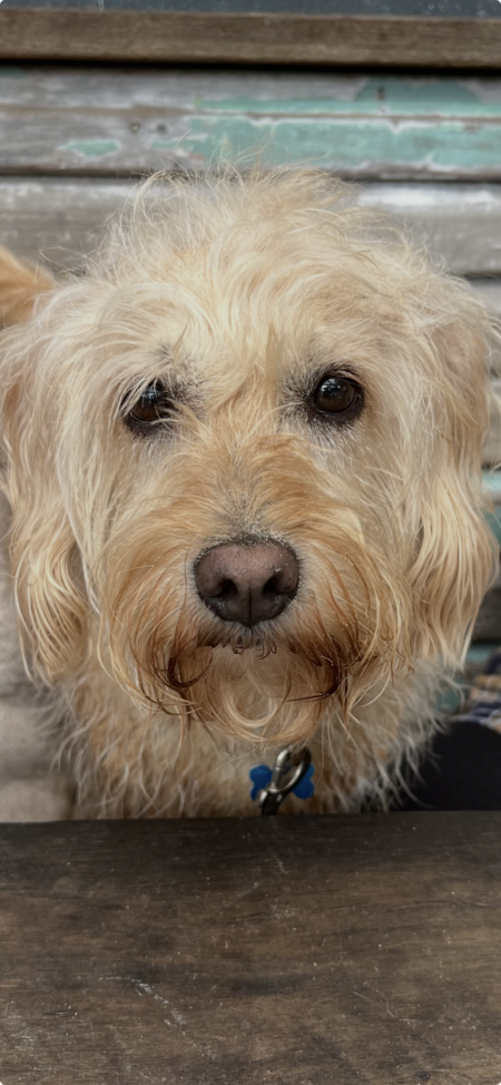 Entry image for Ted . Clicking this image will show a larger photo