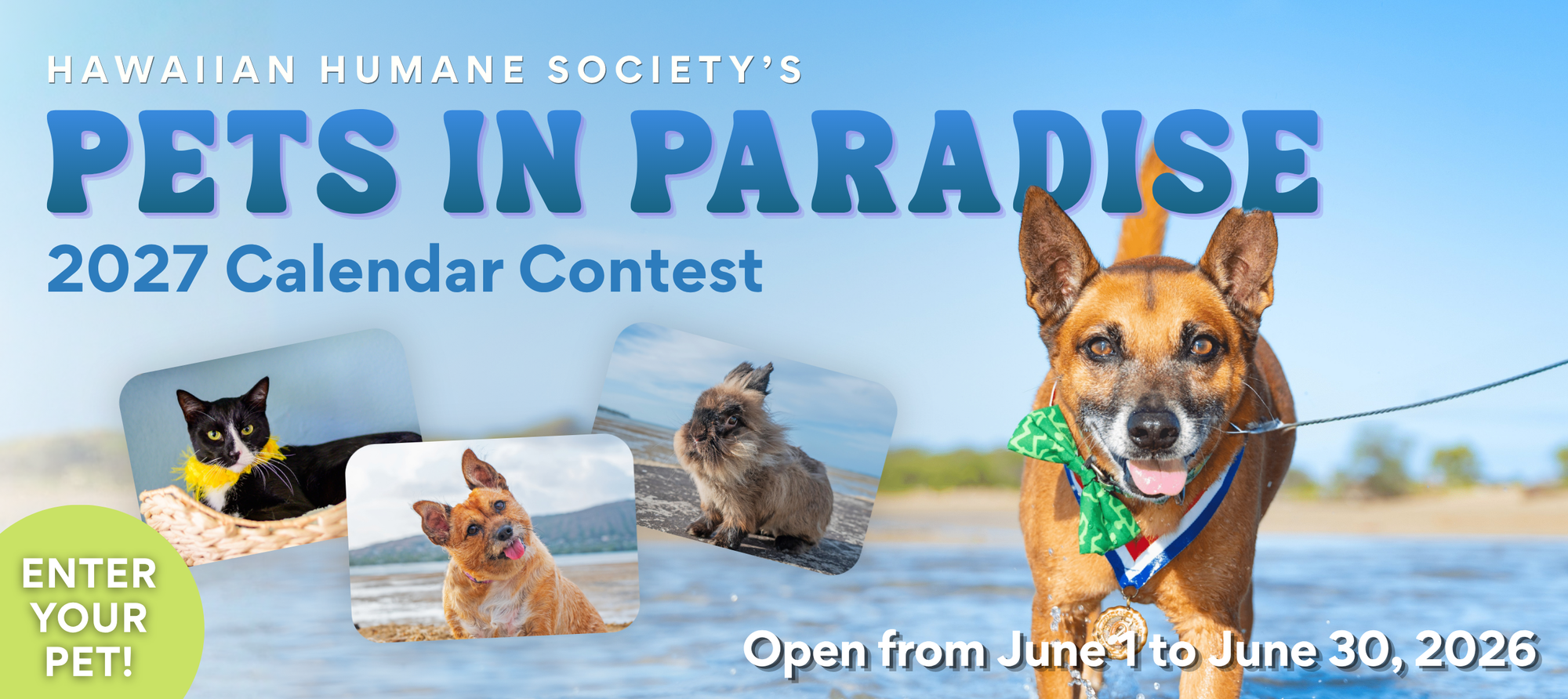 Banner for 2027 Pets in Paradise Calendar Contest