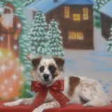 Entry image for Winnie
