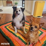 Entry image for Annabelle & Apple 