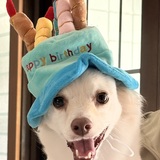 Entry image for FINN