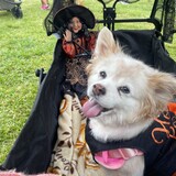 Entry image for Jessica Fletcher