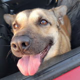 Entry image for Lily