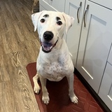 Entry image for Charlie