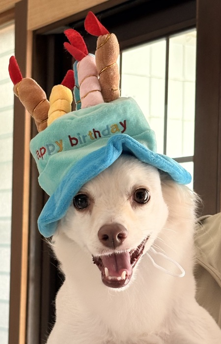 Entry image for FINN. Clicking this image will show a larger photo