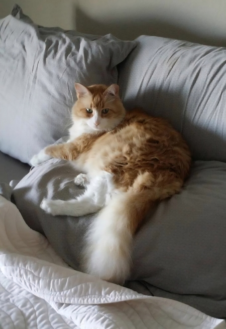 Entry image for Tucker. Clicking this image will show a larger photo