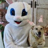 Entry image for Dottie Mae
