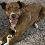 Entry image for Daisy 