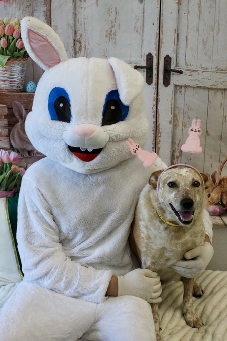 Entry image for Dottie Mae. Clicking this image will show a larger photo