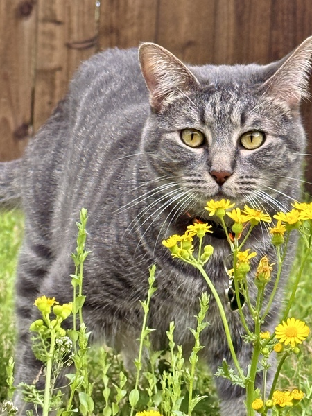 Entry image for Jimmy. Clicking this image will show a larger photo