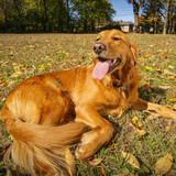 Entry image for Contestant F