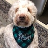 Entry image for Contestant Q