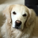 Entry image for Contestant V
