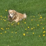 Entry image for Contestant AD