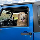 Entry image for Contestant AE
