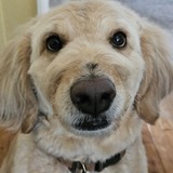 Entry image for Contestant AL
