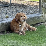 Entry image for Contestant AT