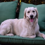 Entry image for Contestant AV