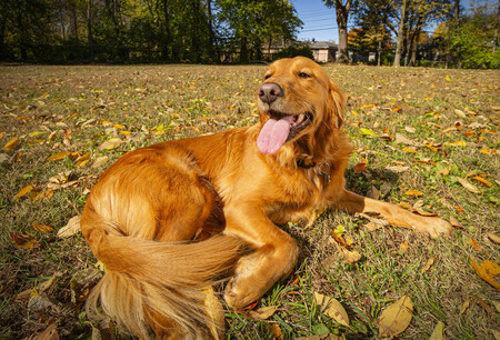 Entry image for Contestant F. Clicking this image will show a larger photo