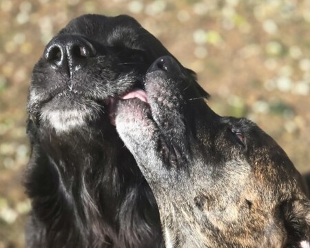 Entry image for Contestant AA. Clicking this image will show a larger photo